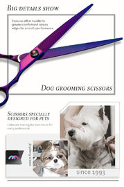 Sharp Special Hairdressing Scissors , Titanium Stainless Steel Hair Scissors